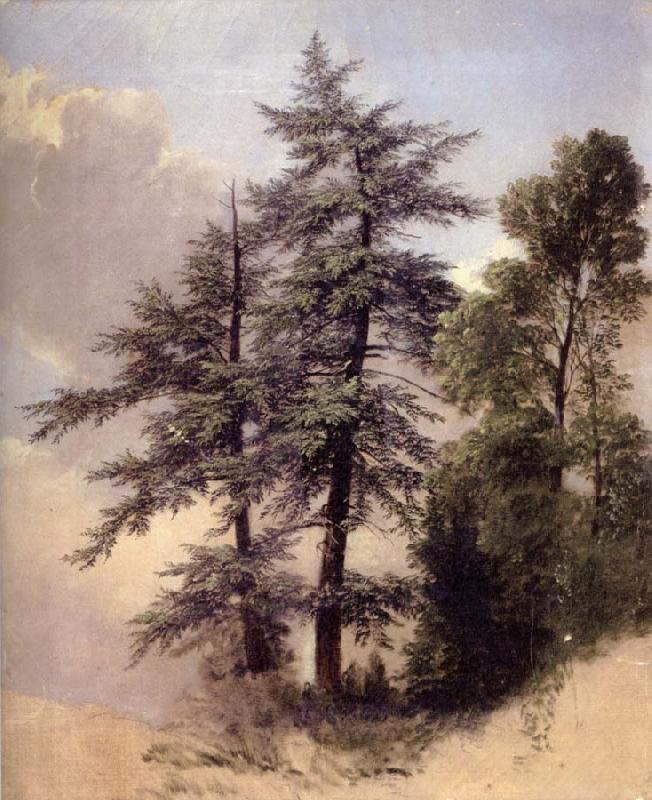Asher Brown Durand Study from Nature Trees,Newburgh, oil painting image